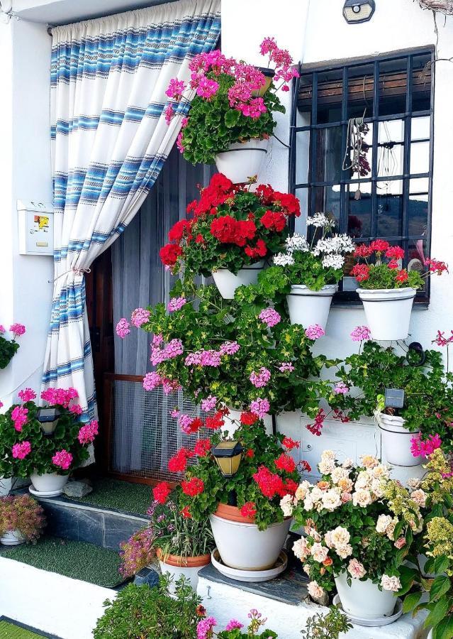 Casa Alhambra - Centro Historico Con Jardin Privado Daire Granada Dış mekan fotoğraf