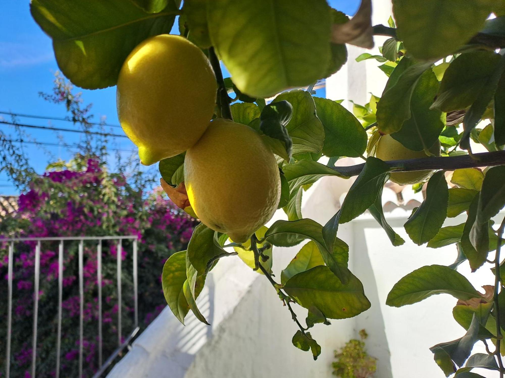 Casa Alhambra - Centro Historico Con Jardin Privado Daire Granada Dış mekan fotoğraf