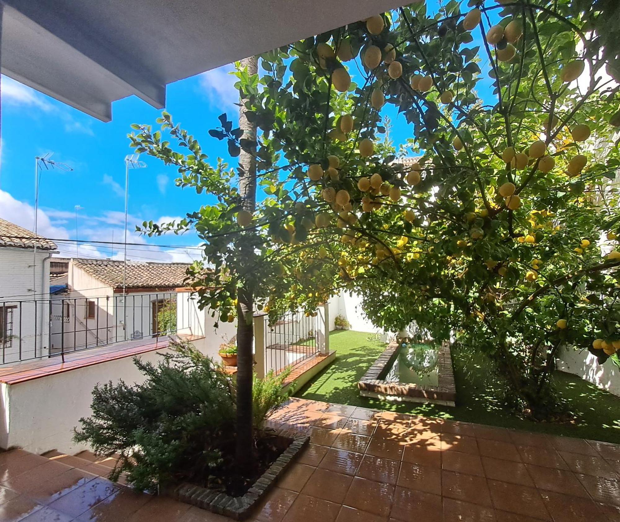 Casa Alhambra - Centro Historico Con Jardin Privado Daire Granada Dış mekan fotoğraf